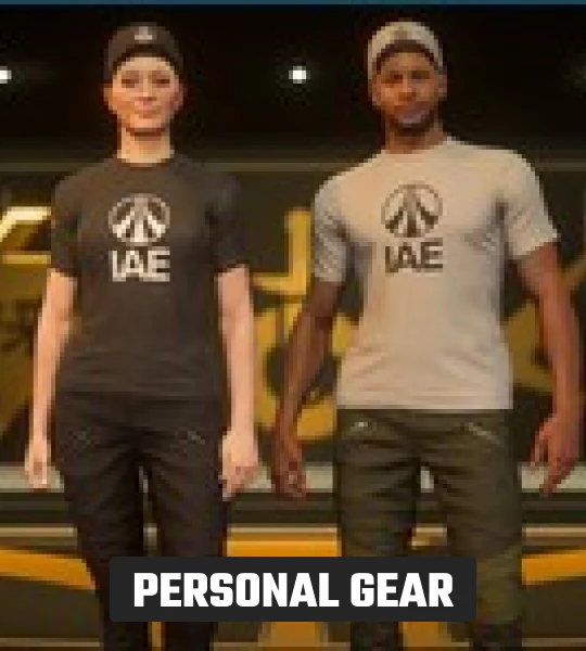IAE 2955 Gear Pack